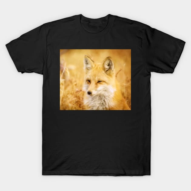 Summer Dreaming Fox II T-Shirt by Amanda Jane